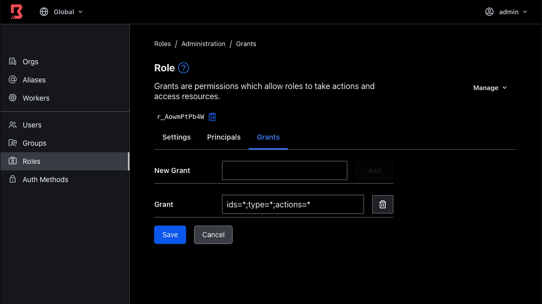 Boundary UI grants view